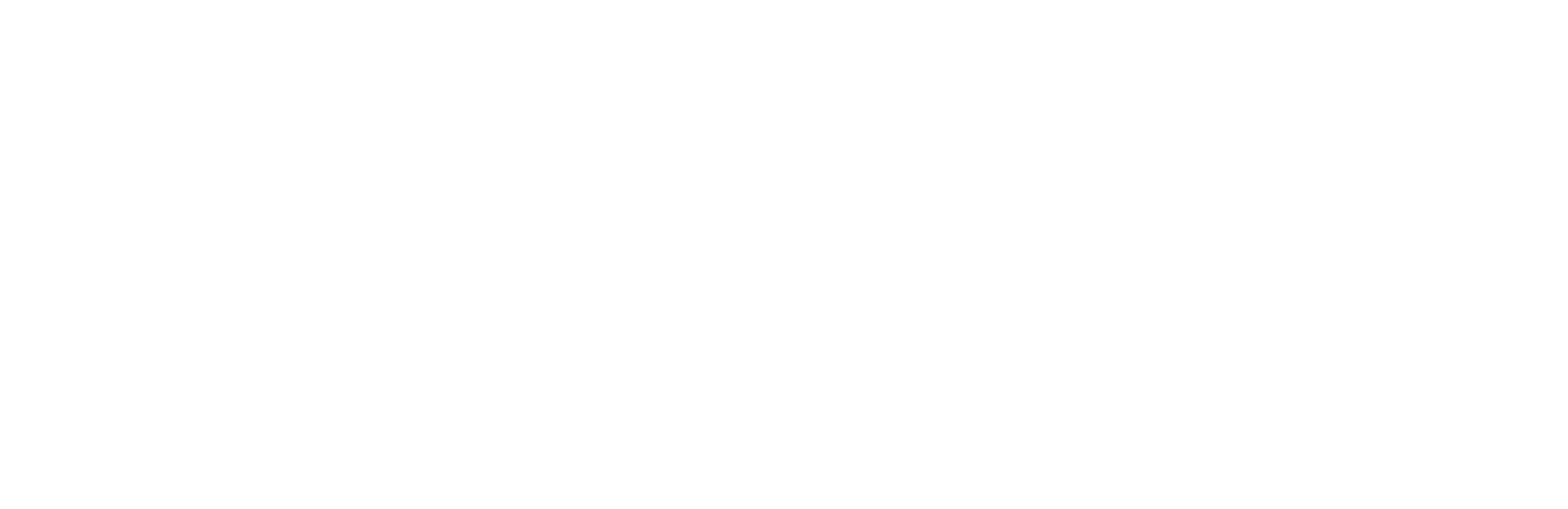 Rigisoft Logo